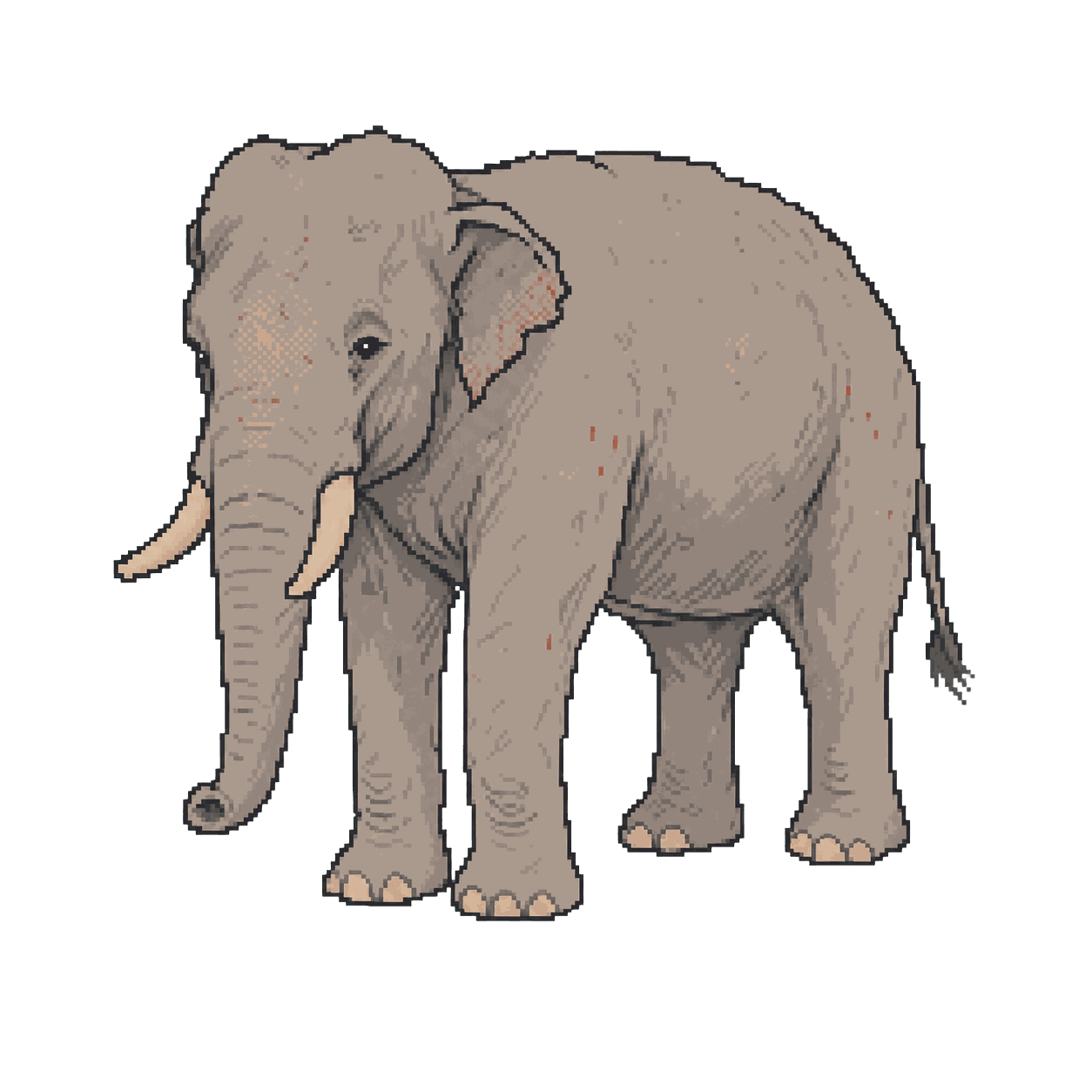 Chunee, an elephant