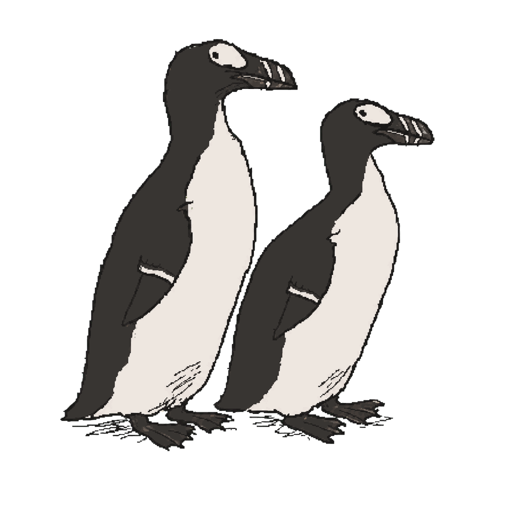 The last great auks